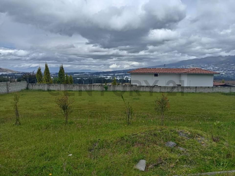 Los Lotes Bolívar Ayora Cayambe S/N, Cayambe, Pichincha 00001, Ecuador