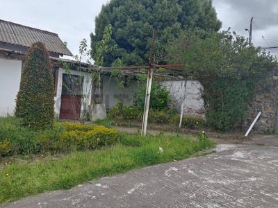 Los Lotes Bolívar Ayora Cayambe S/N, Cayambe, Pichincha 00001, Ecuador