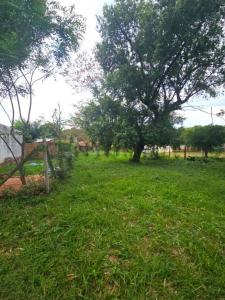 Luque, Central 00001, Paraguay