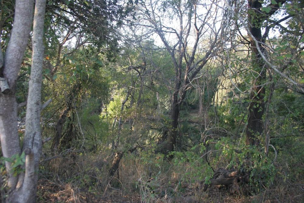 Hoedspruit, Limpopo, דרום אפריקה 