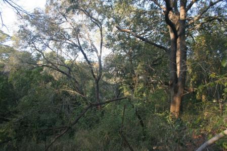 Hoedspruit, Limpopo, דרום אפריקה 