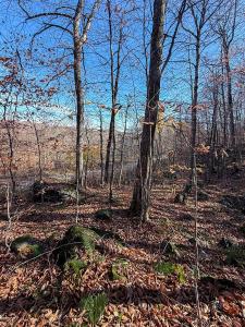 Ch. des Castors, Wentworth, קוויבק J8H 0A8, קנדה