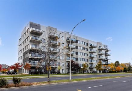 8155 Boul. Leduc, Brossard, Québec J4Y 0N9, Canada