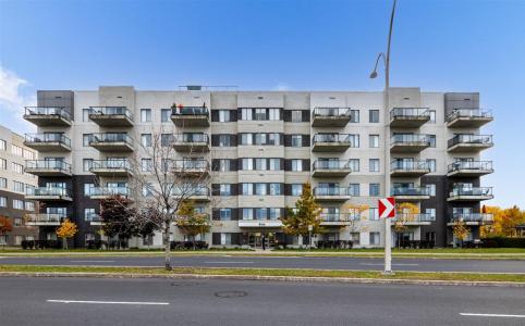 8155  Boul. Leduc, Brossard, Quebec J4Y 0N9, Canadá