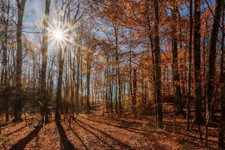 9  Rue Horse Shoe, Bolton-Est, Quebec J0E 1G0, Canada