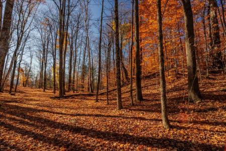 9  Rue Horse Shoe, Bolton-Est, Quebec J0E 1G0, Canada