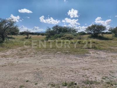 Parcela 413 Z-6 1/4,, Tequisquiapan, Querétaro 76799, México