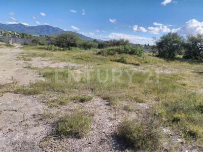 Parcela 413 Z-6 1/4,, Tequisquiapan, Querétaro 76799, México