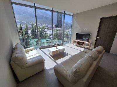 Santa Catarina, 新萊昂 66197, 墨西哥