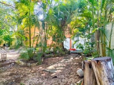 Ceiba ,, Cancún/Benito Juárez, Quintana Roo 77500, Mexico