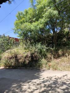 Prolongación de Iturbide S/N,, Oaxaca De Juárez, Oaxaca 68020, Mexico