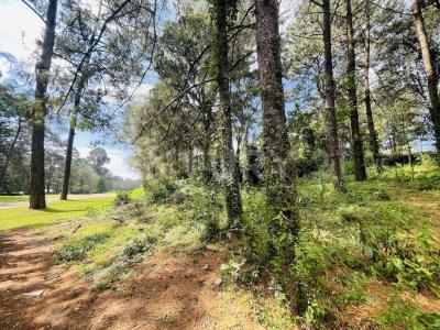 RANCHO AVANDARO 166,, Valle De Bravo, 墨西哥州 51200, 墨西哥