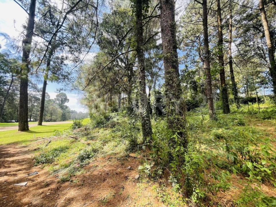 RANCHO AVANDARO 166,, Valle De Bravo, 墨西哥州 51200, 墨西哥