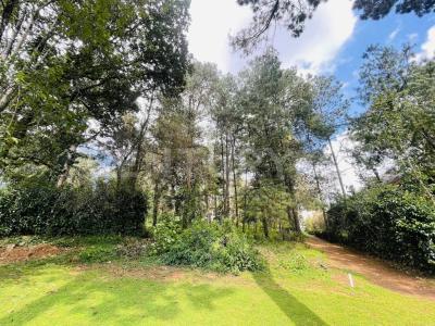 RANCHO AVANDARO 166,, Valle De Bravo, 墨西哥州 51200, 墨西哥