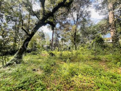 RANCHO AVANDARO 166,, Valle De Bravo, 墨西哥州 51200, 墨西哥