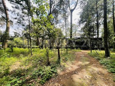 RANCHO AVANDARO 166,, Valle De Bravo, 墨西哥州 51200, 墨西哥