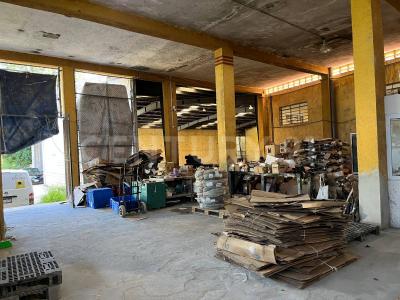 Mérida, Yucatan 97000, Mexico