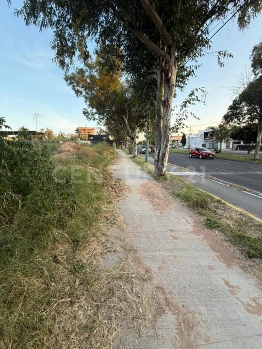 Aguascalientes, Aguascalientes 20119, Mexico