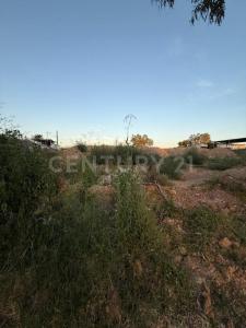 Aguascalientes, Aguascalientes 20119, Mexico
