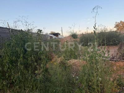 Aguascalientes, Aguascalientes 20119, Mexico