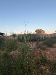 Aguascalientes, Aguascalientes 20119, Mexico
