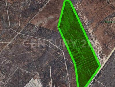 Ciénega De Flores, ولاية نويفو ليون 65550, المكسيك