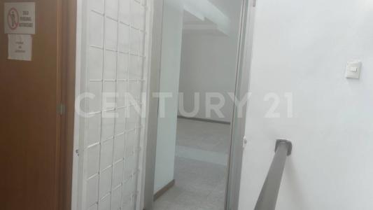 Cuernavaca, Morelos 62290, Messico