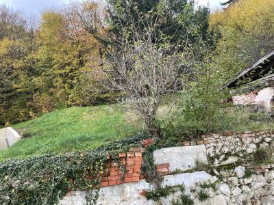 Konjiška vas, Slovenske Konjice, Savinjska 3210, Slovenia