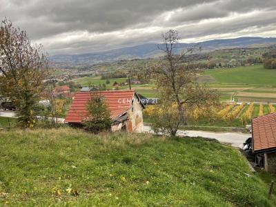 Konjiška vas, Slovenske Konjice, Savinjska 3210, Slovenia