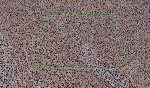 Ave W And Vic 146th St East, Pearblossom, Калифорния 93553, Соединенные Штаты