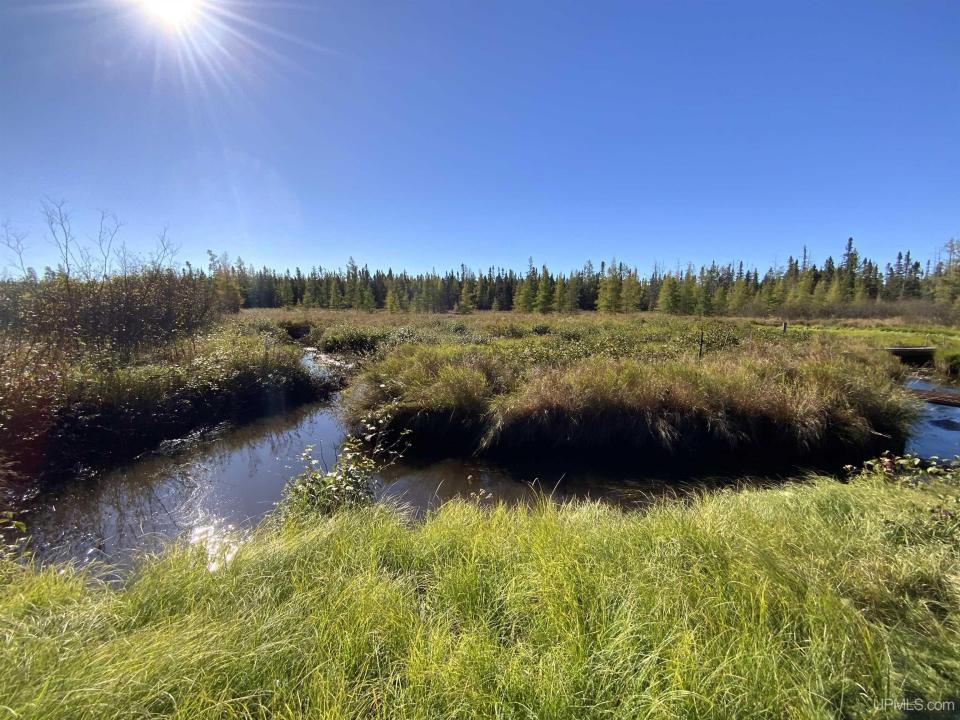 TBD Co Rd CCF, Ishpeming, מישיגן 49849, ארצות הברית של אמריקה 