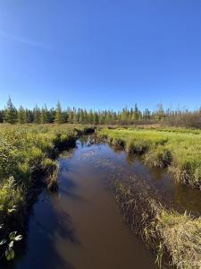 TBD Co Rd CCF, Ishpeming, מישיגן 49849, ארצות הברית של אמריקה 