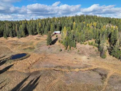 43406 Black Pine Drive, Winchester, 愛達荷州 83555, 美國