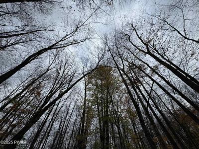 14 Hemlock Lane, Lake Ariel, Pennsylvania 18436, Stati Uniti