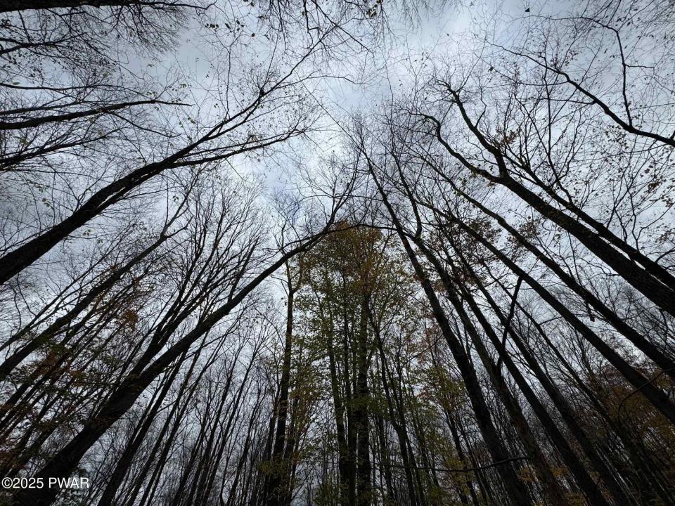 14 Hemlock Lane, Lake Ariel, Pennsylvania 18436