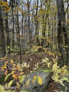 14 Hemlock Lane, Lake Ariel, Pennsylvania 18436