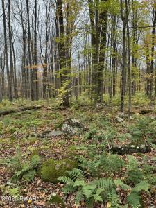 14 Hemlock Lane, Lake Ariel, Pennsylvania 18436