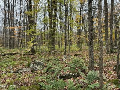 14 Hemlock Lane, Lake Ariel, Pennsylvania 18436