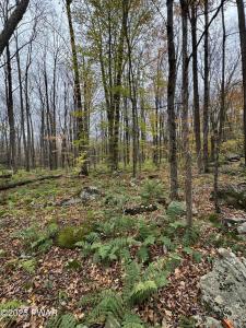 14 Hemlock Lane, Lake Ariel, Pennsylvania 18436