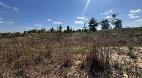 2911 Road 5702, Cleveland, Texas 77327, États-Unis