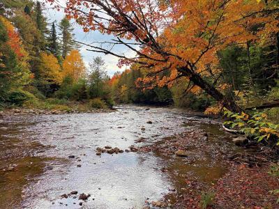 000 Darling Hill Road, Lyndon, Vermont 05849, Estados Unidos