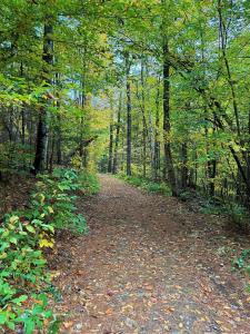 000 Darling Hill Road, Lyndon, Vermont 05849, Estados Unidos