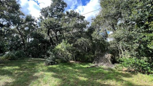 0 RIFLE RANGE RD, Winter Haven, פלורידה 33880, ארצות הברית של אמריקה