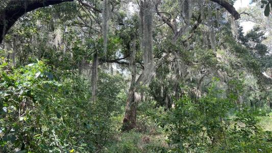 0 RIFLE RANGE RD, Winter Haven, Florida 33880, USA