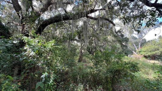 0 RIFLE RANGE RD, Winter Haven, Florida 33880, USA