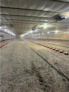 Tbd County Road 3, Holdingford, Minnesota 56340, États-Unis