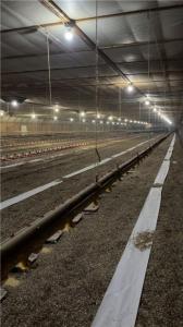 Tbd County Road 3, Holdingford, Minnesota 56340, États-Unis