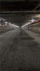 Tbd County Road 3, Holdingford, Minnesota 56340, États-Unis