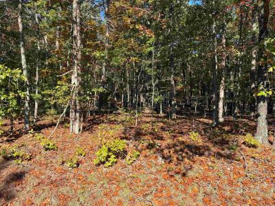 00 Dunlop Road, Fairfield Bay, Arkansas 72088, USA