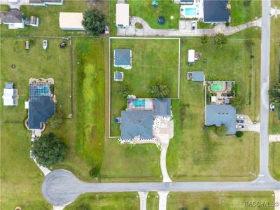 9060 CR 128C, Wildwood, 佛羅里達州 34785, 美國